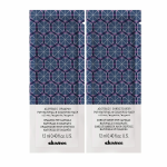 Davines Alchemic Silver zestaw saszetek - szampon 12 ml, odżywka 12 ml